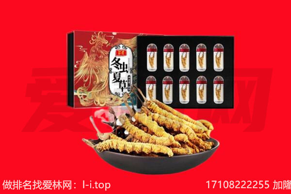 来宾象州县回收虫草.jpg